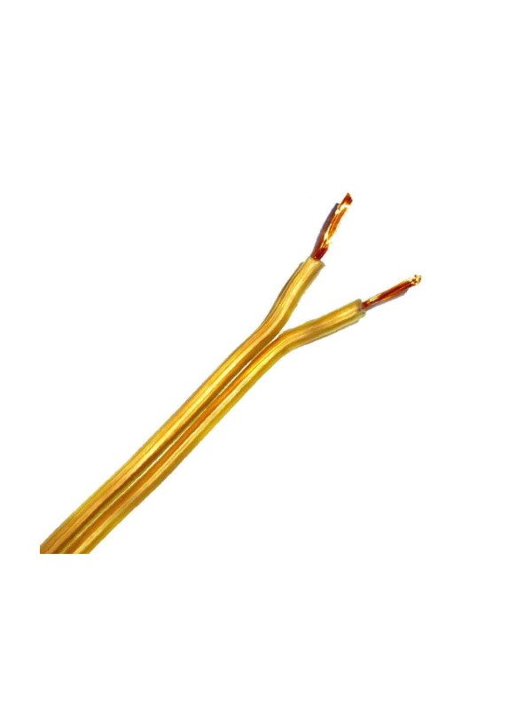 [Matassa 10mt ] Cavo piattina oro costa stretta in rame colore dorata 2x0,50 mm per fai da te ricambi lumi lampadari abajour
